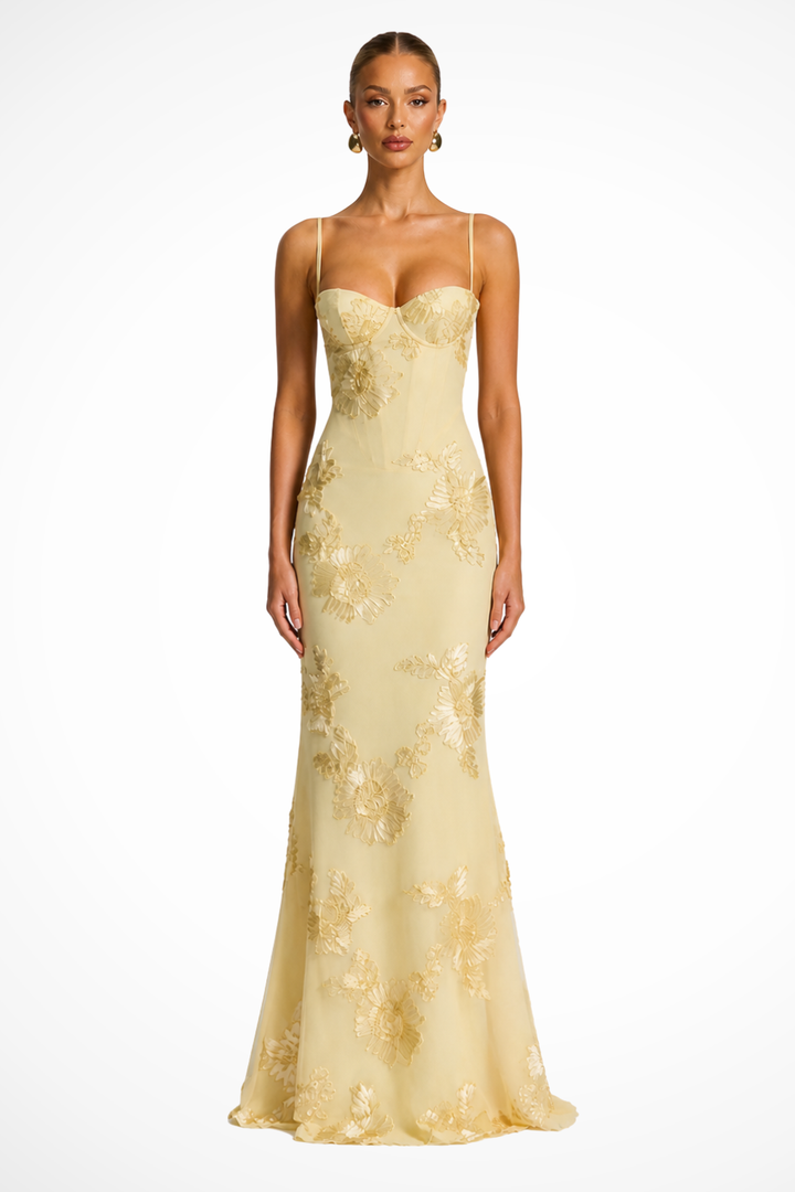Embroideredcorset — Floral Embroidered Maxi Dress With Structured Corset Cami Gown Design